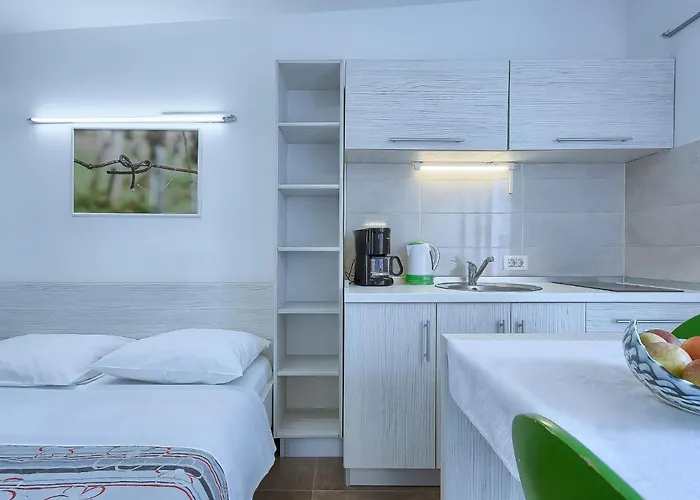 Nika-9 By Interhome Appartement Umag